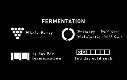 See 2014 Estate Merlot Fermentation