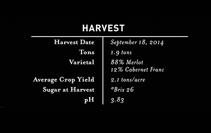 2014 Estate Merlot Harvest