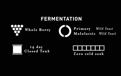 See 2015 Beckstoffer Cab Fermentation