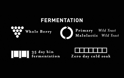 See 2015 Estate Merlot Fermentation