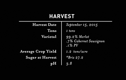 2015 Estate Merlot Harvest
