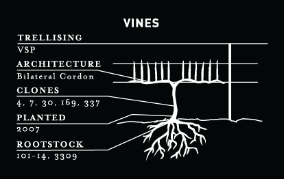 See 2017-estate_Vines