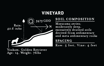 See 2017-estate_Vineyard