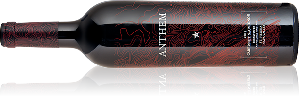 2019 Cabernet Sauvignon St. Helena Napa Valley bottle