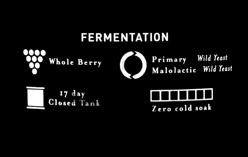 See 2019 BeckCab - tech - fermentation