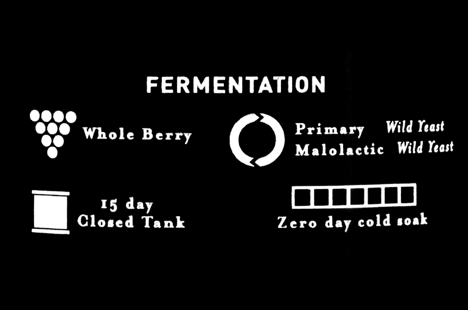See 2019_EstateMerlot - tech - fermentation