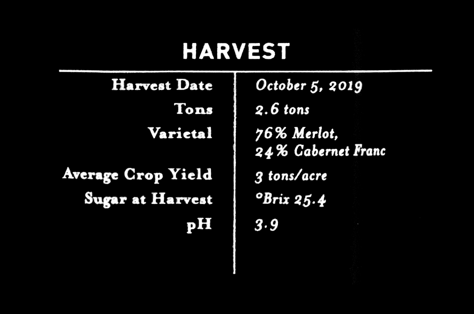 See 2019_EstateMerlot - tech - harvest